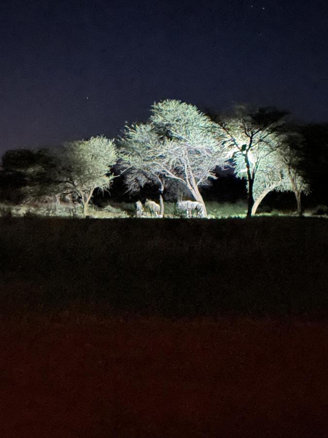 Big Cats Namibia Farmstay & Tours - B&B Outjo