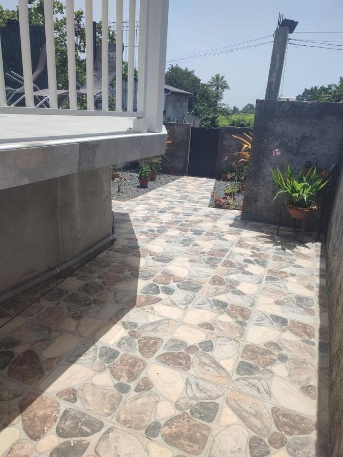 Les cattleyas - B&B Petit-Bourg