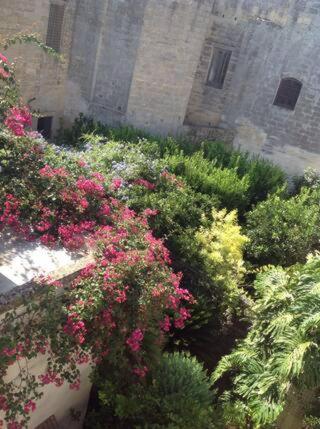 Estudio
