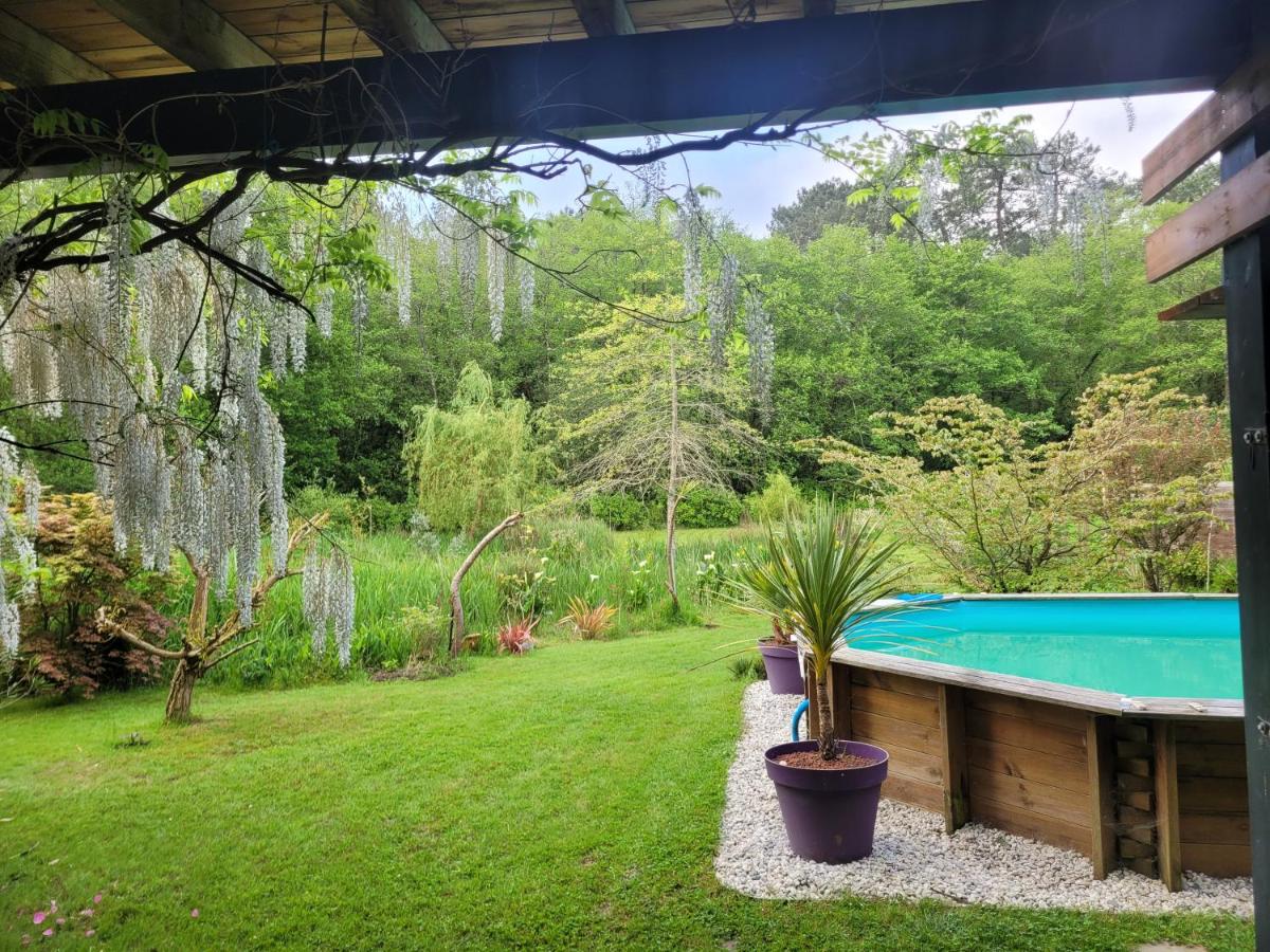 villa bois sur pilotis avec vue sur forêt - B&B