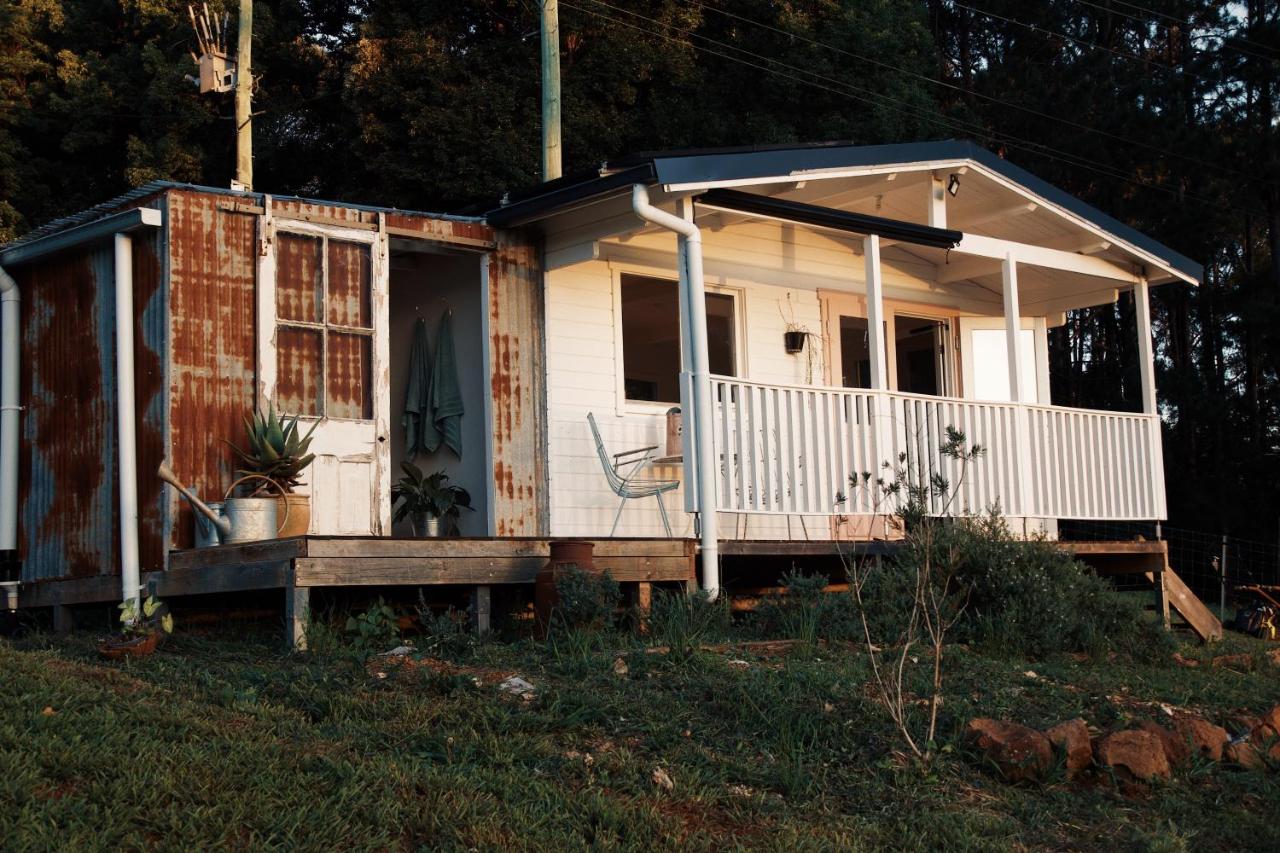 B&B Rosebank - Byron Hinterland Rustic Off Grid Cabin - Bed and Breakfast Rosebank