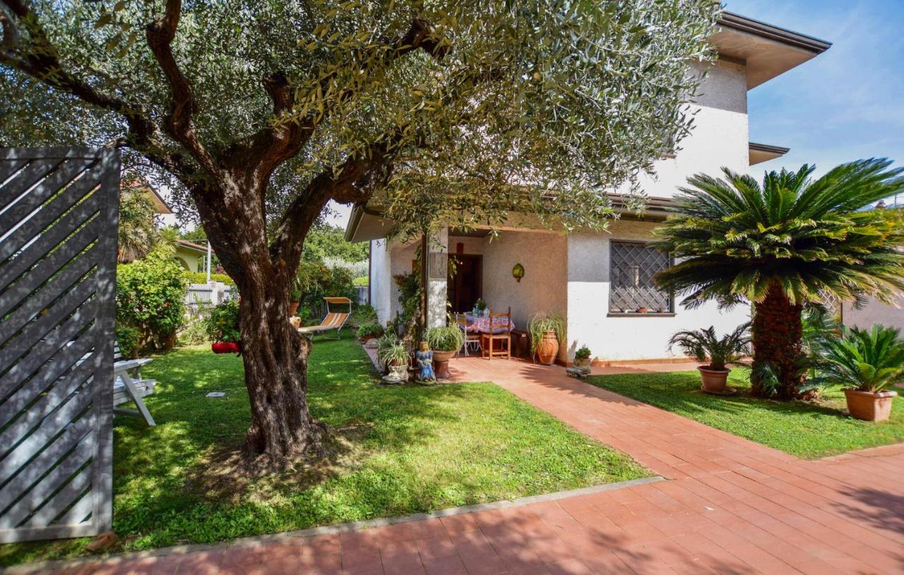 B&B Capezzano Pianore - Awesome Home In Capezzano Pianore With Kitchen - Bed and Breakfast Capezzano Pianore