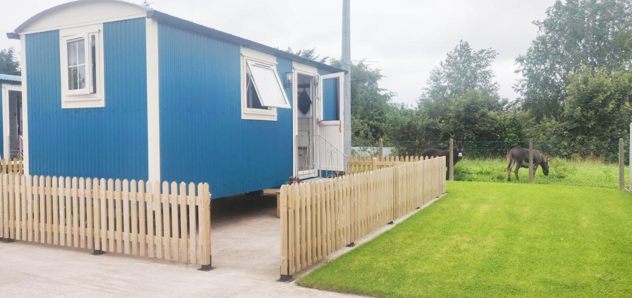 Shepherd Hut Enniskillen Blossom, Fermanagh - Bed and Breakfast
