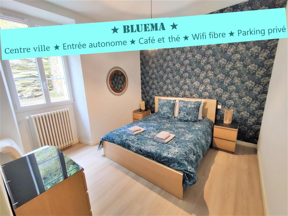 Appartement BLUEMA 2 chambres RdC, proche gare, vue sur le château - B&B