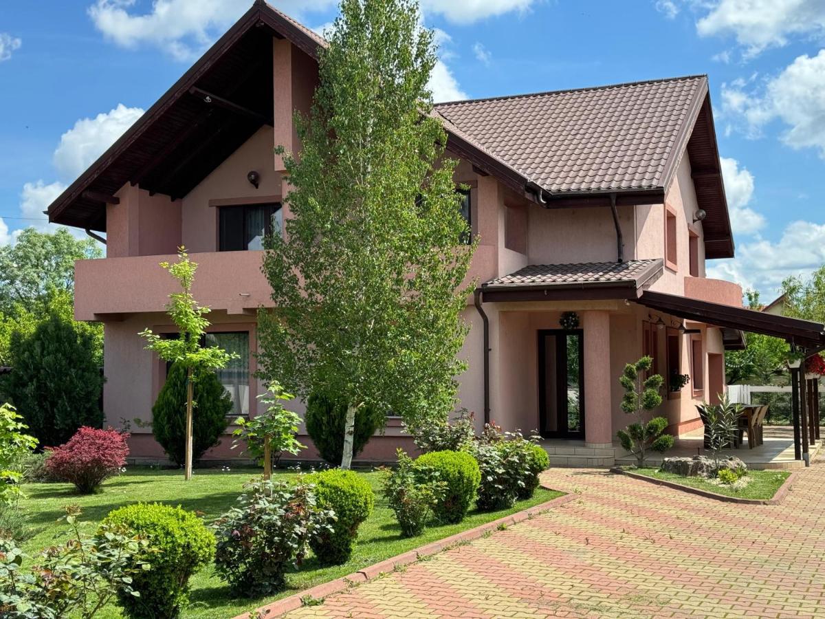 B&B Buzau - Forest Spătaru - Bed and Breakfast Buzau