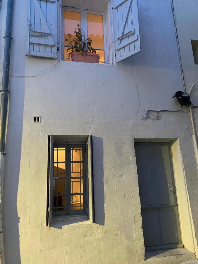 Tiny House 1, 2 ou 3 personnes SoeursGrises Béziers Centre Historique coeur de l'Hérault Occitanie, plus vieille ville de France, chemin de Compostelle à pied ou velo, passeport du pèlerin 24h, petits dejeuners et repas, 300m du centre ville - Chambres d'hôtes Béziers