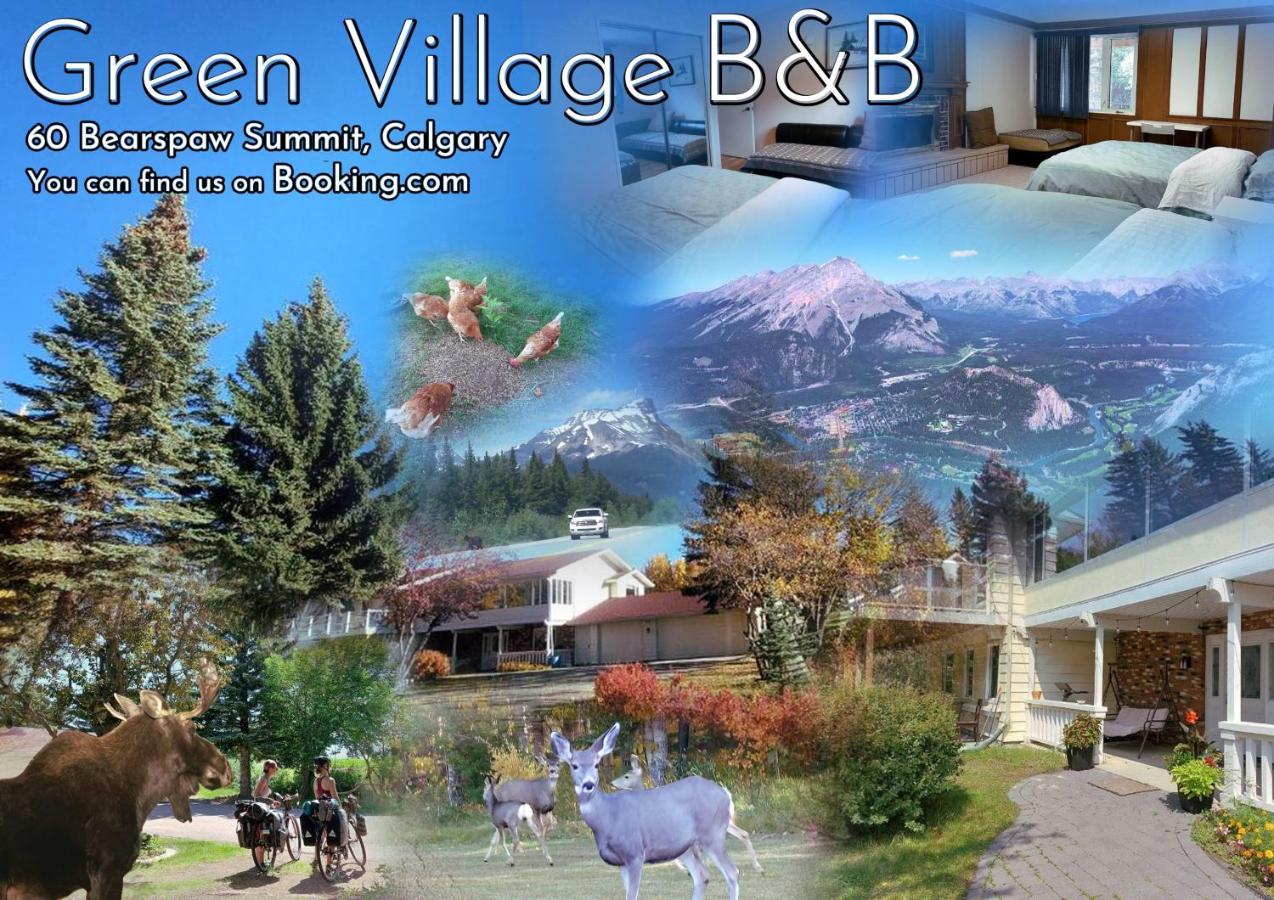 B&B Calgary - Green Village B&B - Bed and Breakfast Calgary