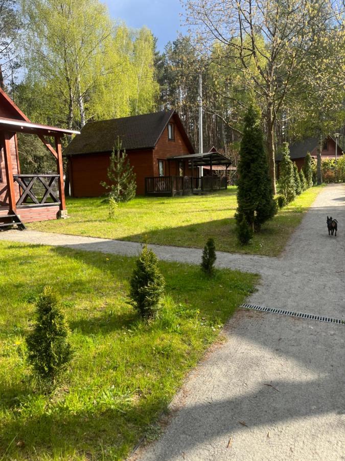 Domki Letniskowe Nad Jeziorem Kazub - B&B Cieciorka
