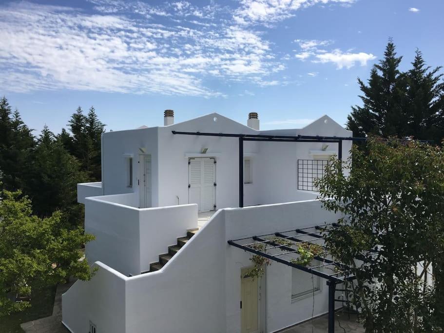 Summer House with sea view and garden - B&B