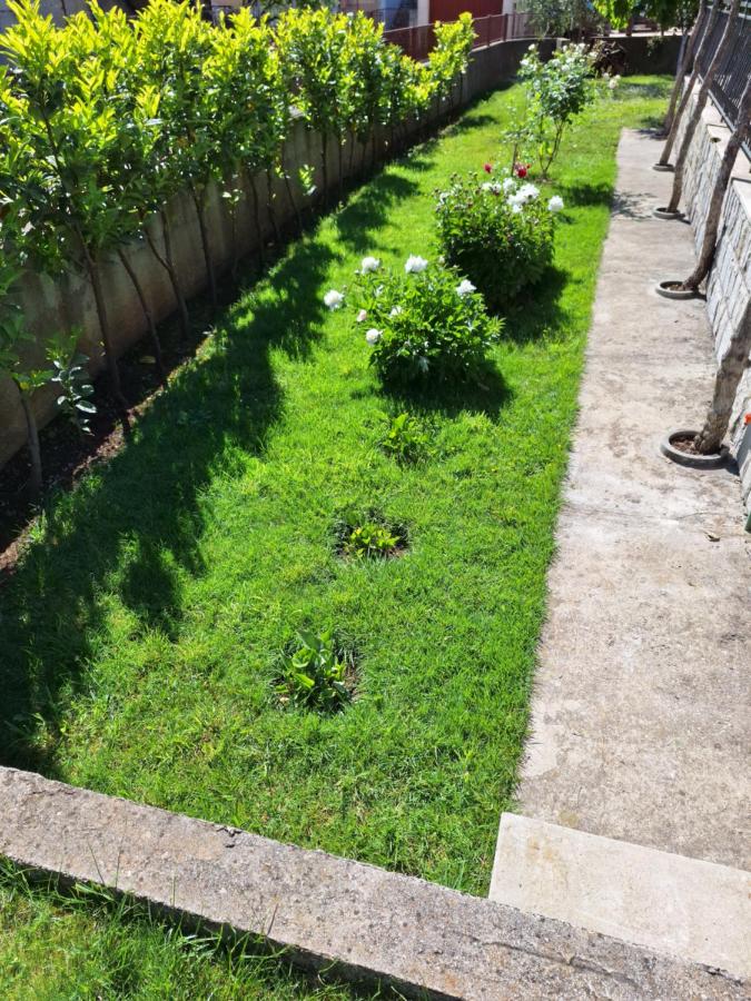 Apartment Slobo - B&B