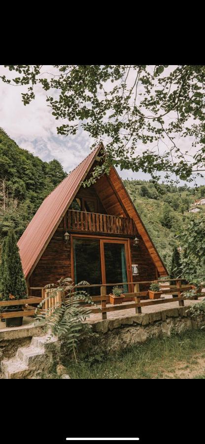 Family Bungalow