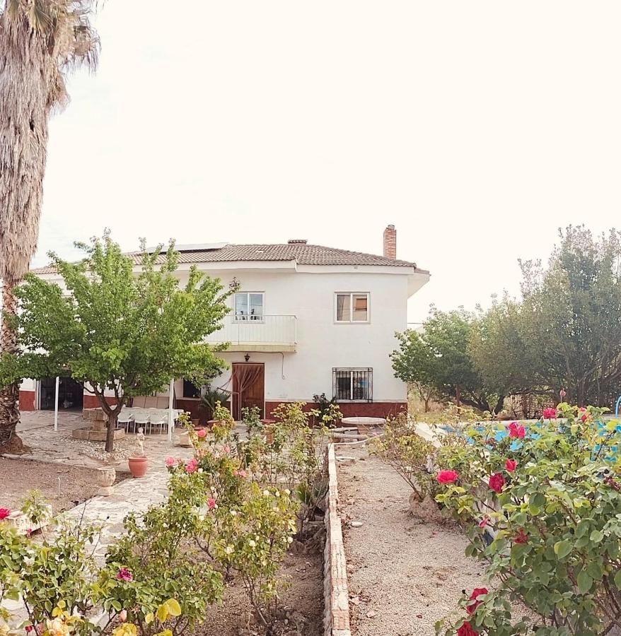 Villa Nathaly - Ferienwohnung Letur