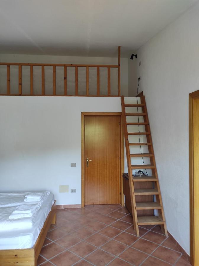 Basic Triple Room
