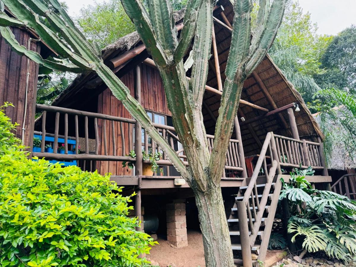 Treehouse River Lodge - B&B