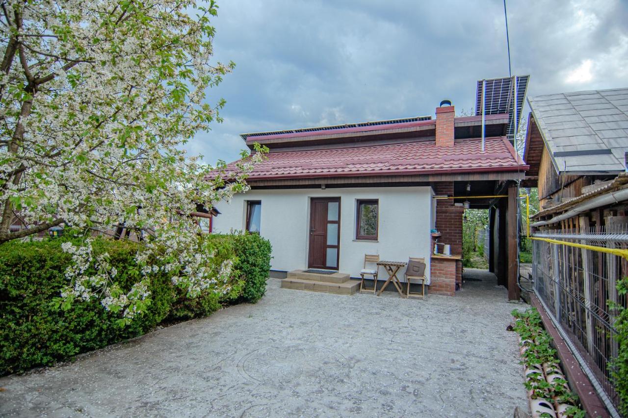 Căsuța DELDRADA - B&B Campulung Moldovenesc