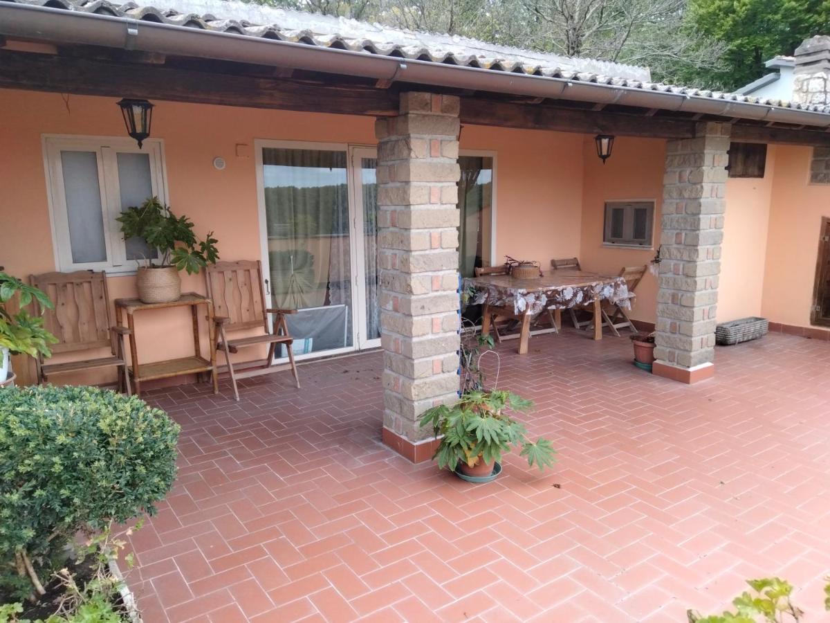 la mansarda nel bosco - B&B Tolfa
