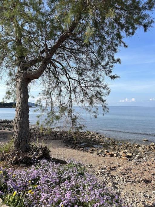 Sunny Modern Beach Retreat Steps from the Shore - Ferienwohnung Saronída