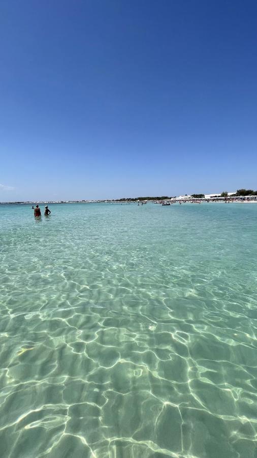 Salento apartment - B&B