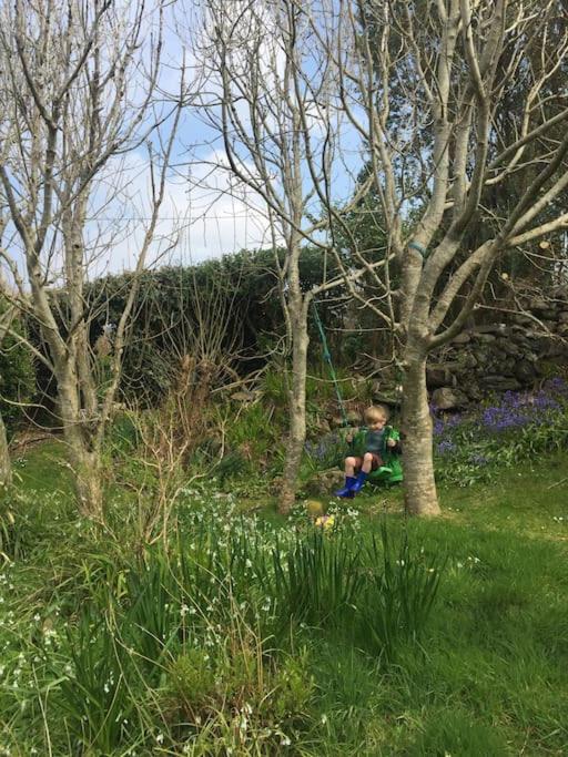 Shore Cottage on the Beara Way Wild Atlantic Way - B&B Eyeries