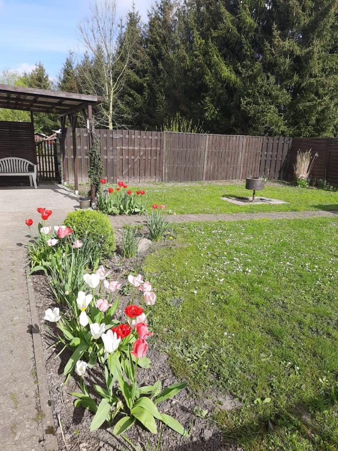 Ferienwohnung Reepschläger - Ferienwohnung Papendorf