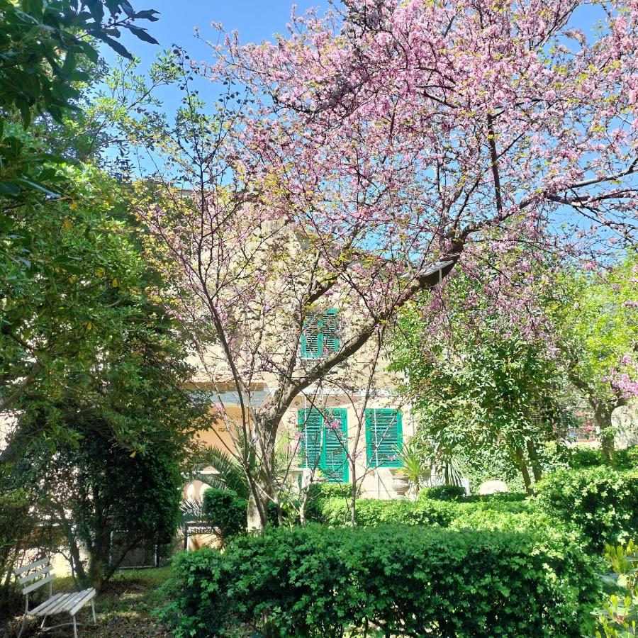 Il giardino di Emilia - B&B Raviscanina