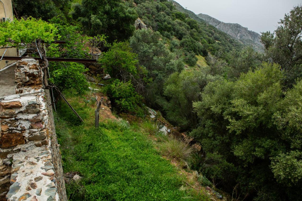Traditional stone build country house Shale - B&B Voutás