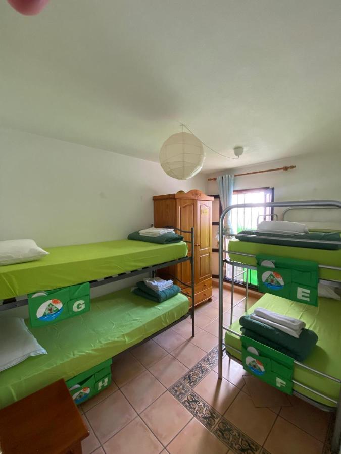 Bed in 4-Bed Mixed Dormitory Room