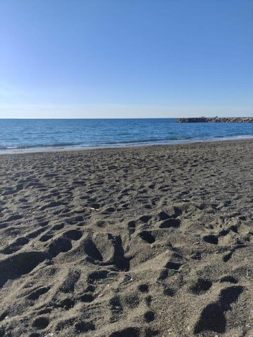 Alex house Cecina Mare - B&B
