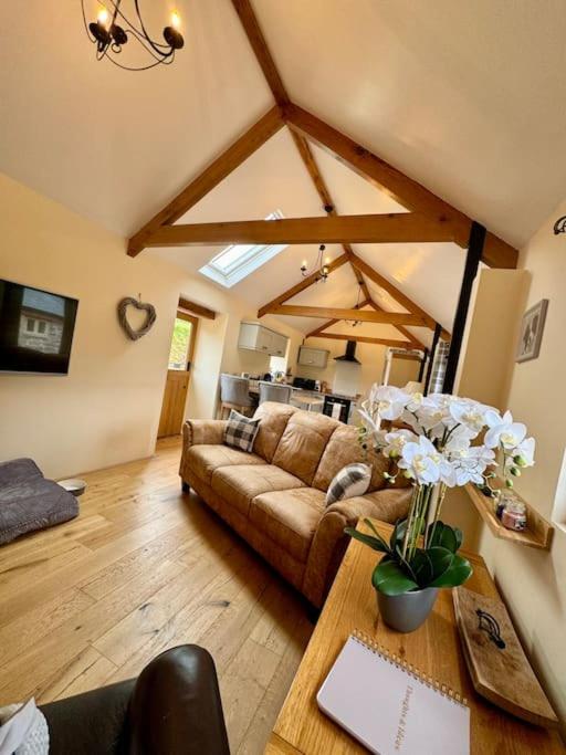 The Paws and Wander Hideaway - B&B