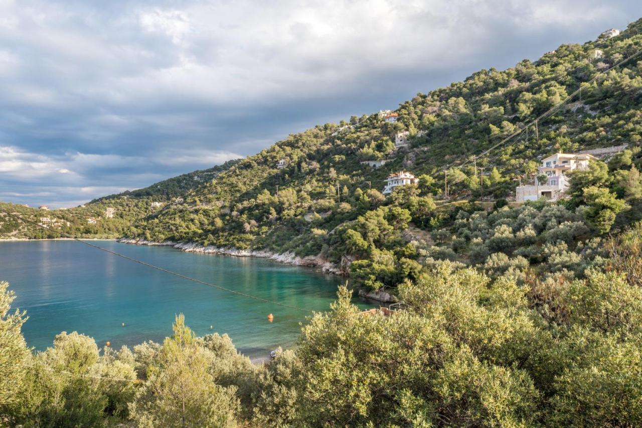 Spacious Villa by the sea - Bed and Breakfast