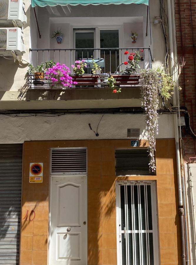 Carlota - B&B Alicante