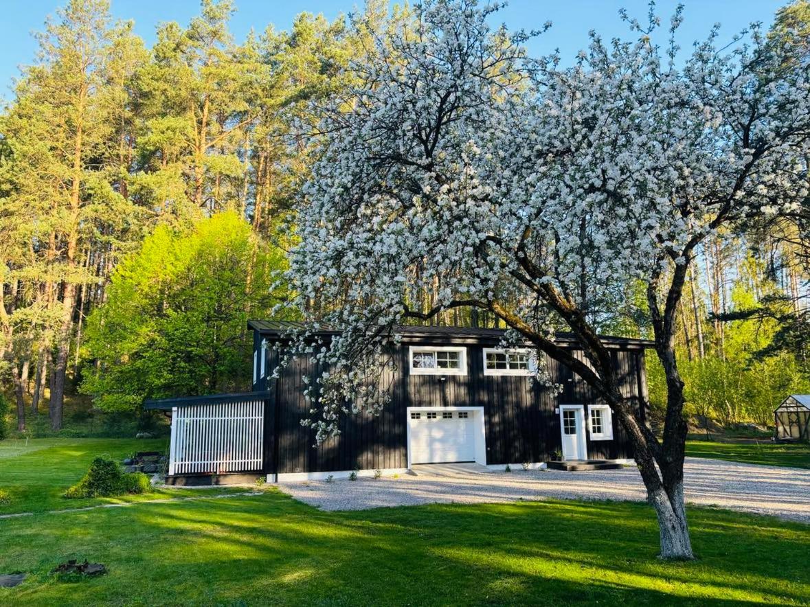 Pušyno apartamentai - B&B