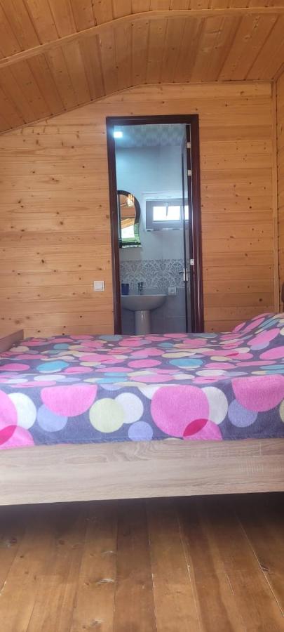 Chambre Lits Jumeaux - Vue sur Montagne