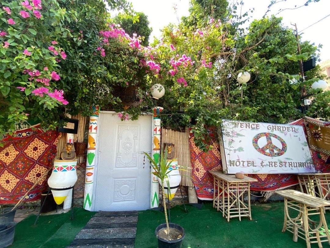 peace garden hostel & camp - B&B Luxor