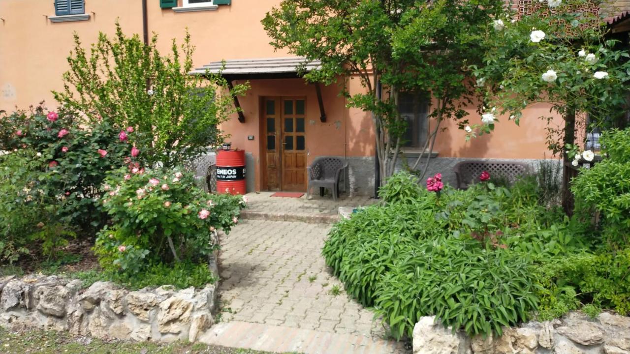 La casa nel bosco, ma a 2 passi dal centro - B&B
