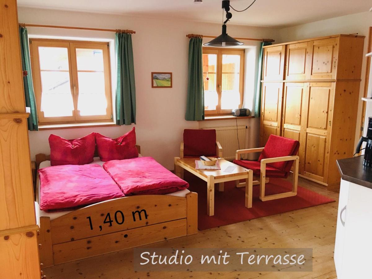 Estudio con terraza