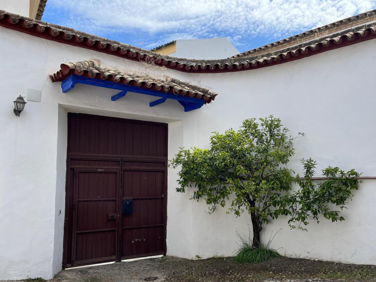 Wallada Corregidor - B&B Córdoba