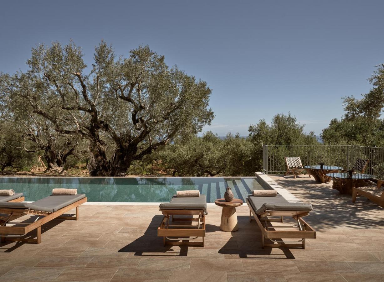 DiLa Grand Villa, a 5acres Secluded Sanctuary with Pool, By ThinkVilla - B&B Tsilivi