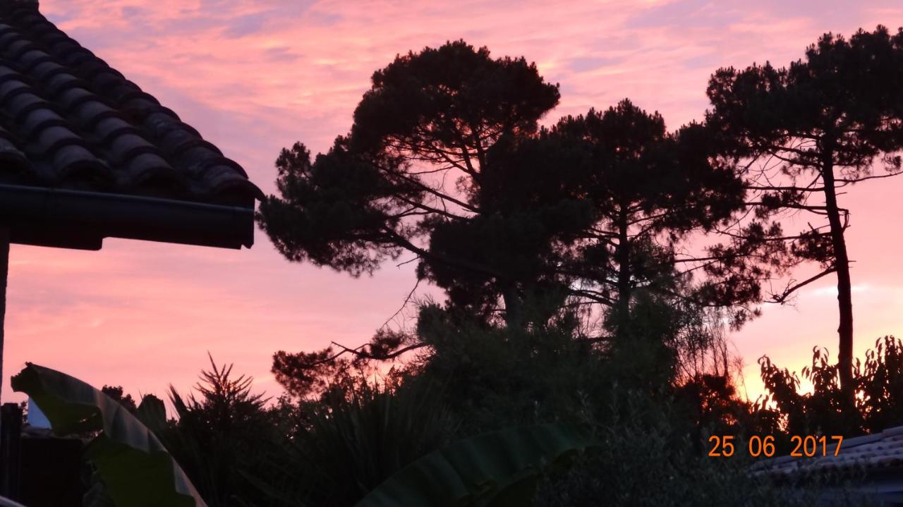 T2 au calme avec terrasse sur le bassin d'Arcachon - Ferienwohnung