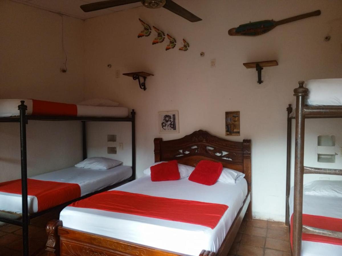 Bed in 6-Bed Dormitory Room