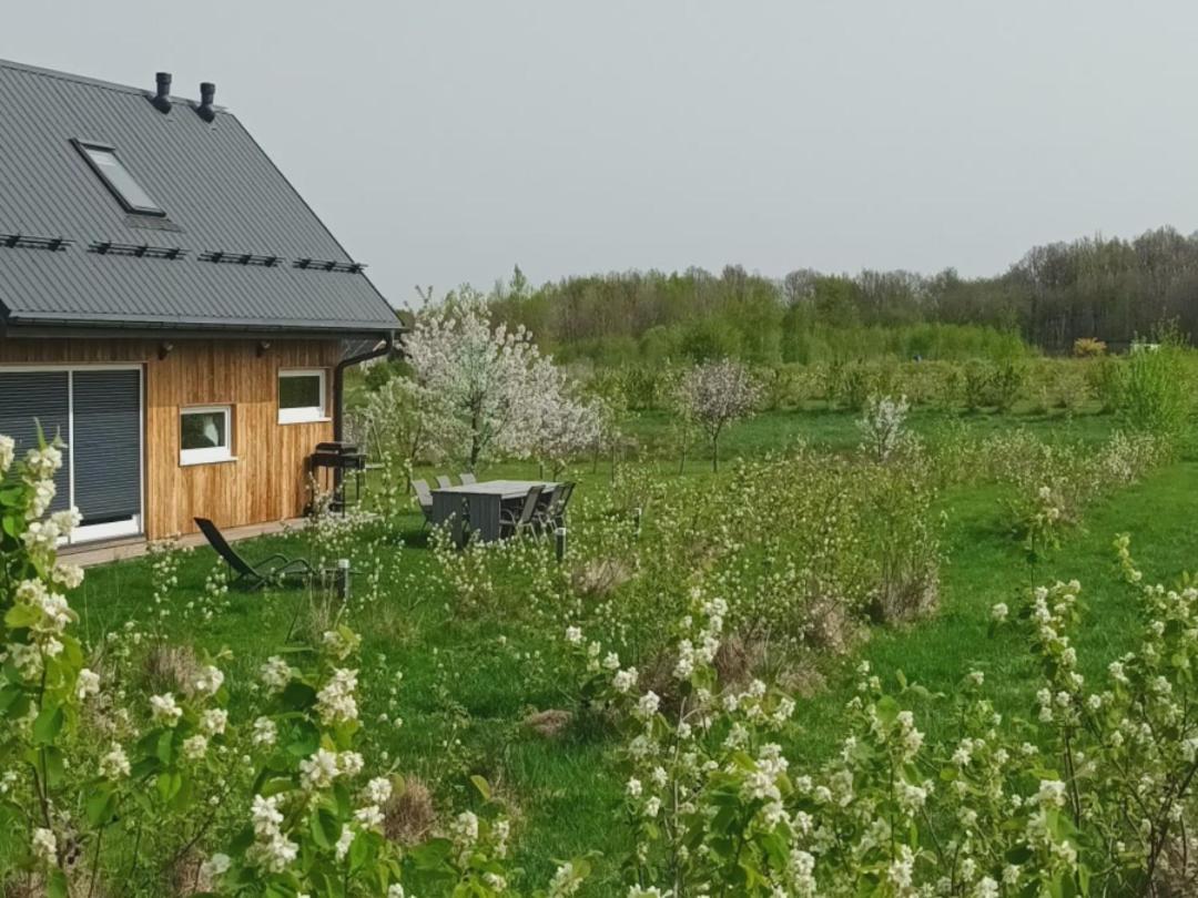 B&B Olszyna - E Berry Farm - Slow life home - Bed and Breakfast Olszyna