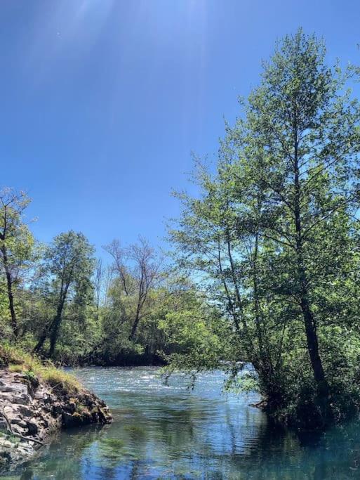Château au calme, pleine nature - B&B Tibiran