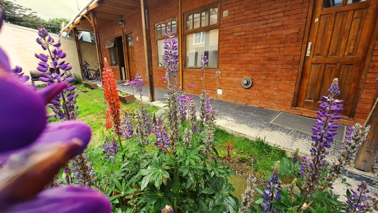 Terrazas del sur - Chambres d’hôtes Ushuaïa