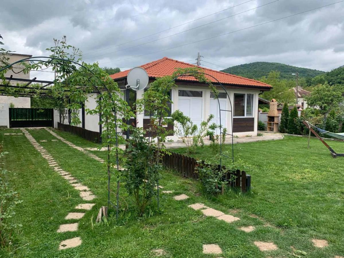 Pet Friendly Guest House Medina