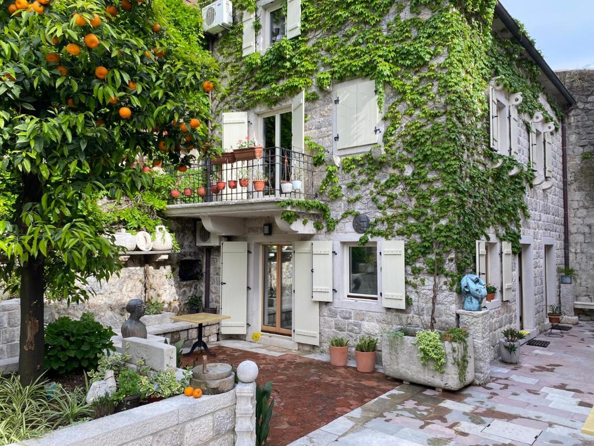 B&B Perast - Olea Apartments in a Historic 17th Century Palace Perast - Bed and Breakfast Perast