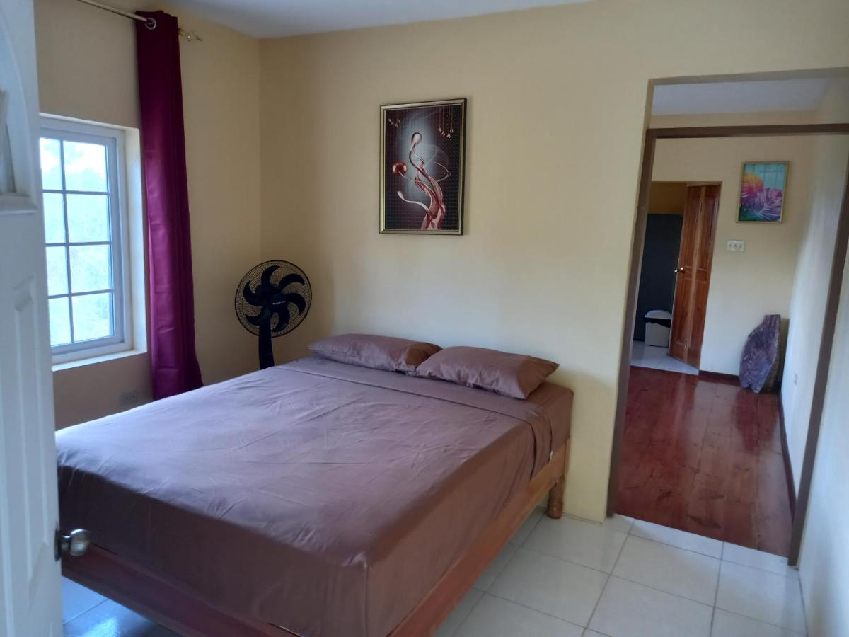 Islington Rocksteady Villa's 1 - B&B Port Antonio