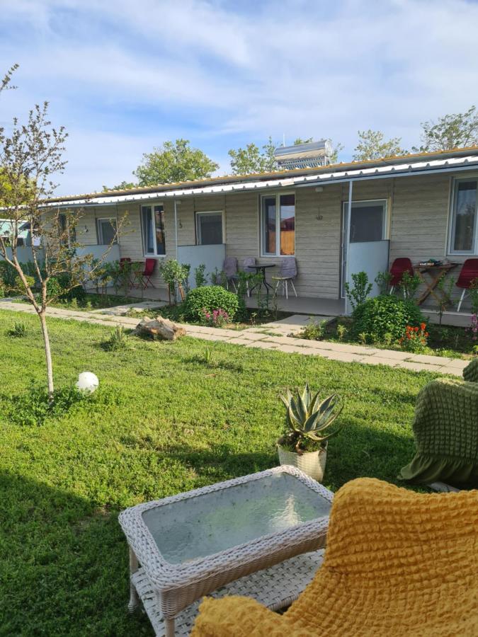 Vadul Chiquita - Ferienwohnung