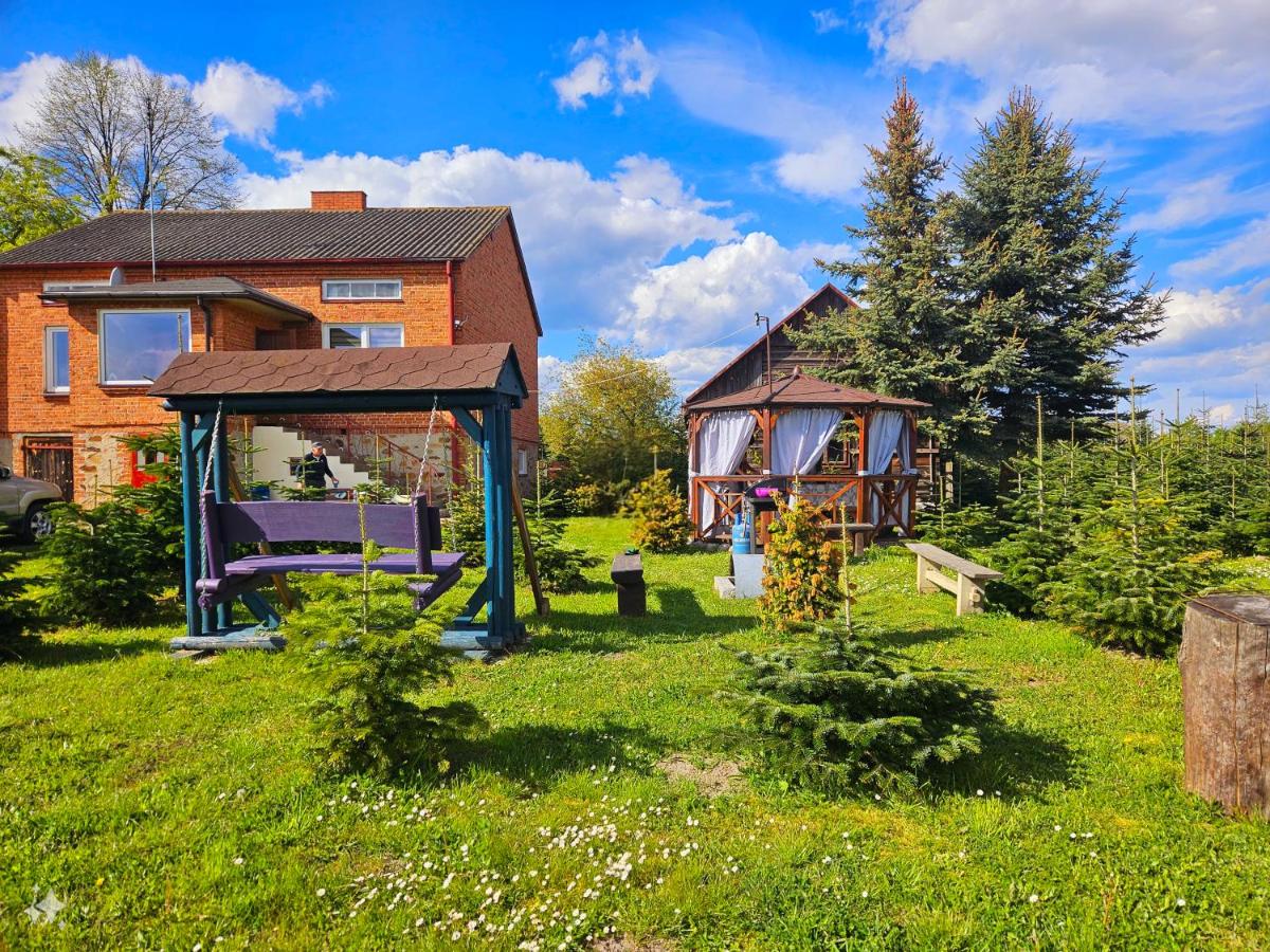 B&B Antoniówka - Sielski Dom (dotrzesz bez auta!) - Bed and Breakfast Antoniówka