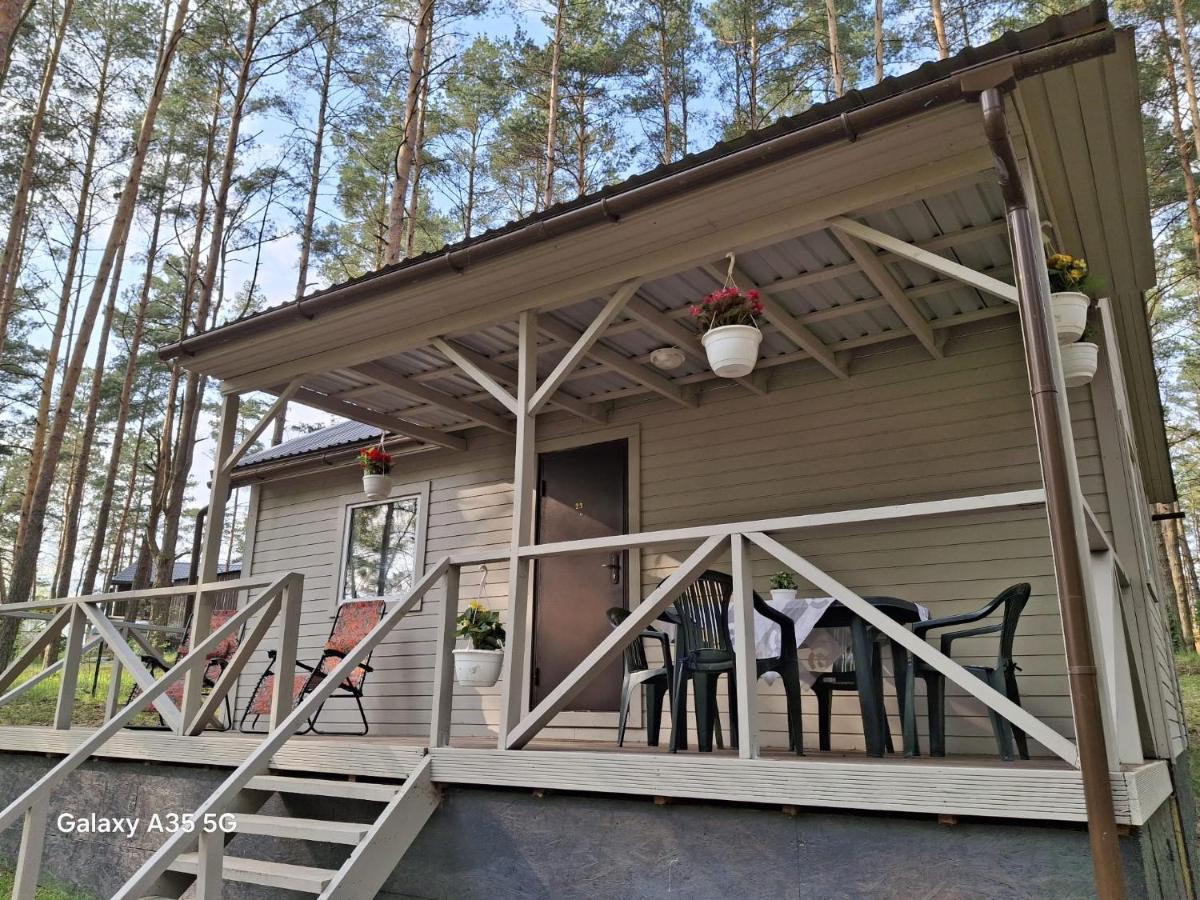 B&B Jūrmala - Sunny house near the beach by the bay! - Bed and Breakfast Jūrmala