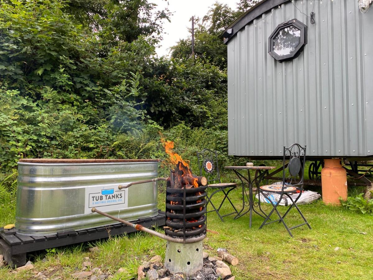 Lakeside Cabin Hot Tub and Fishery - B&B